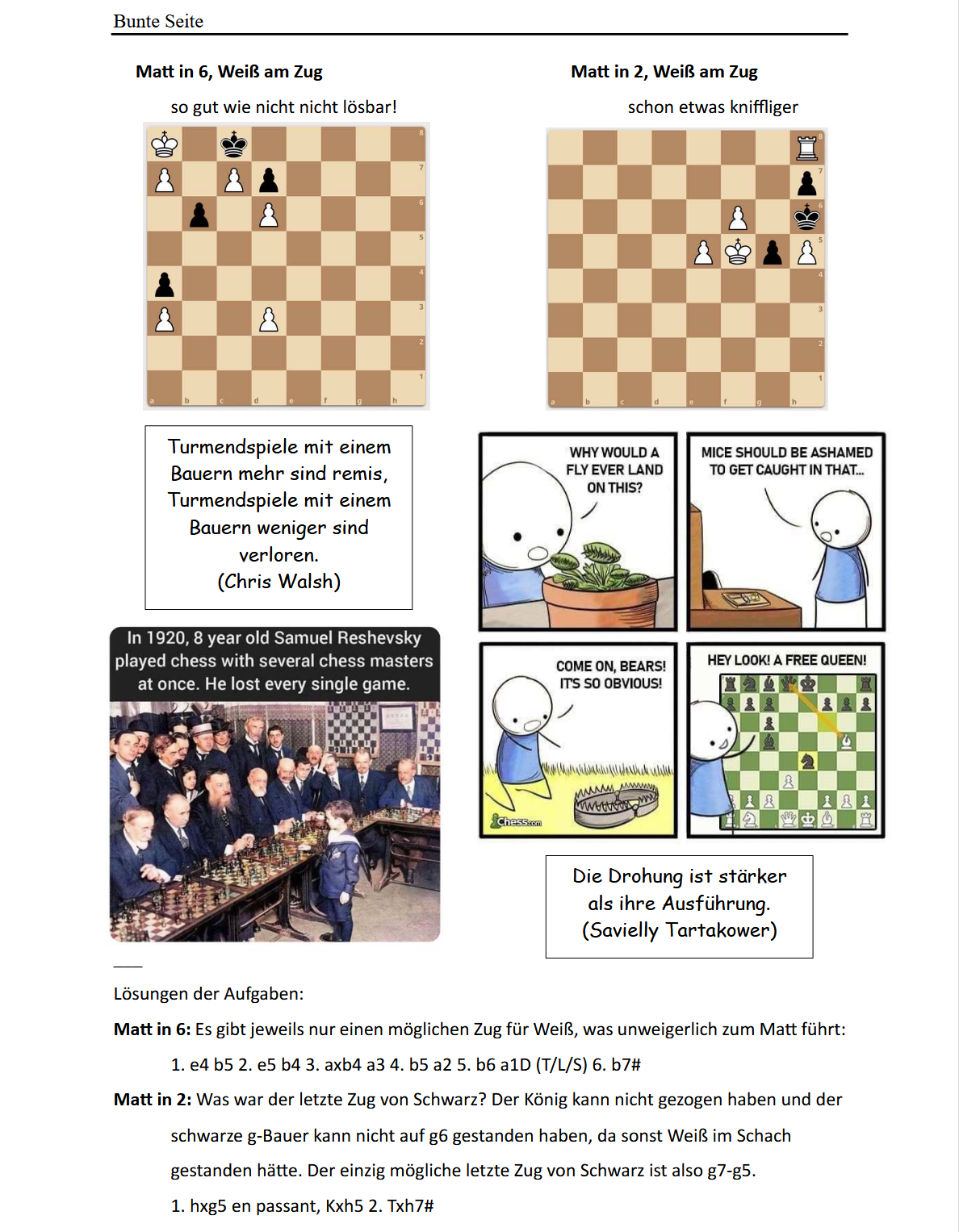 Newsletter 2025 07 22 13